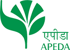 APEDA Logo