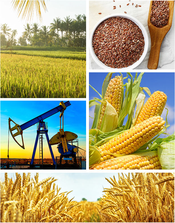 Commodity Inspection Services