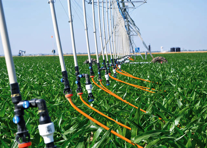 Commodites Inspection Services