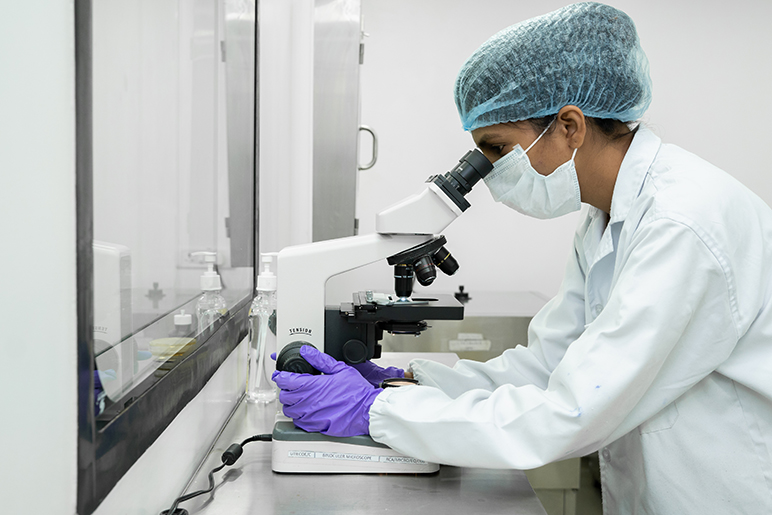 Food Safety And Inspection