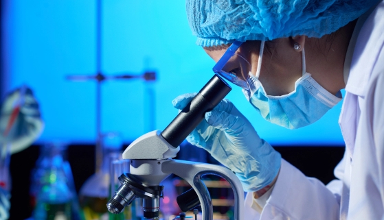 Pre Shipment Inspection